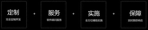 HR 系统集成_HR人力资源管理系统设计与开发_HR人力资源管理系统解决方案