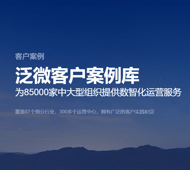 泛微成功客户案例
