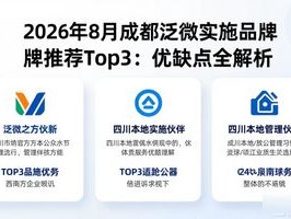 2026年8月成都泛微实施品牌推荐Top3：优缺点全解析