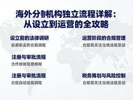 海外分支机构独立流程详解：从设立到运营的全攻略