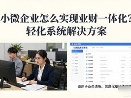 小微企业怎么实现业财一体化？轻量化系统解决方案