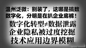 温州泛微EBU_温州泛微_温州泛微贺勇联系方式