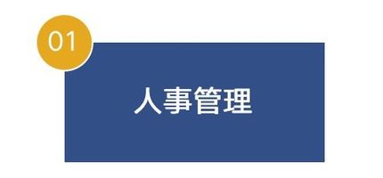 人力资源数字化转型_HR管理系统优势分析_数据驱动HR管理